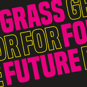 Grass for Future  | KULTURWERFT GOLLAN