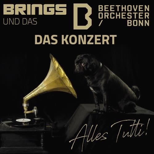 Brings & Beethoven Orchester Bonn  | Kunst!Rasen