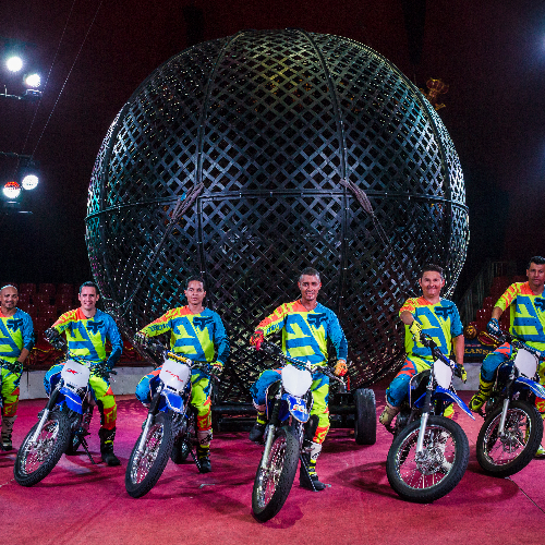 Circus Probst Image 2