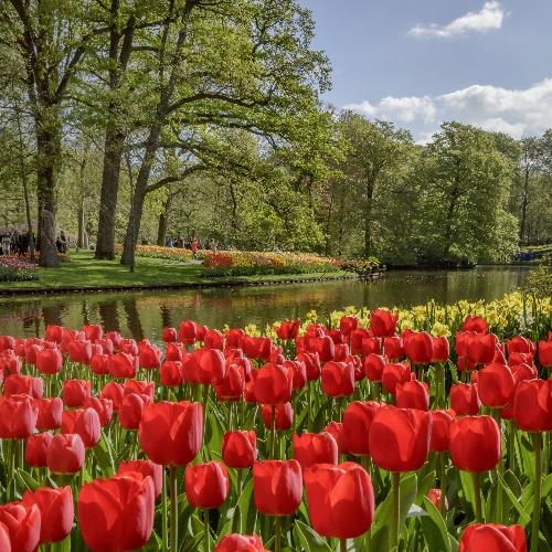 Bustour Keukenhof | Wir lieben Tickets