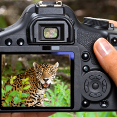 Fotosafaris  | Wir lieben Tickets