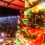Weihnachtssingen im Stadion Tickets - Bild 3 thumbnail