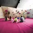  Tickets - Bild 6 thumbnail