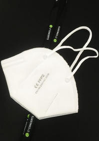 FFP2 Masken (10 Stück)