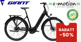 Giant DailyTour E+ 2 LDS RT RC Dash