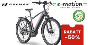 Raymon TourRay E 6.0 M350
