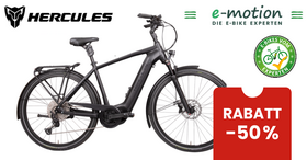 HERCULES Futura HD-I 12 E-Pedelec DI